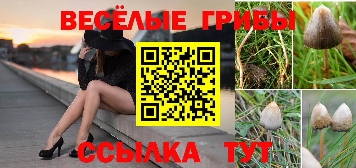 Нарткала  продажа наркотиков  Вход с VPN  Псилоцибиновые грибы MAGIC MUSHROOMS 