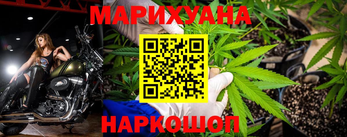 Бошки марихуана план Нарткала