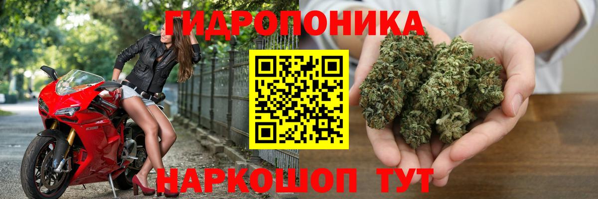 Канабис конопля  Конопля тримм  Канабис Ganja  Нарткала  Вход с VPN  Каннабис план 